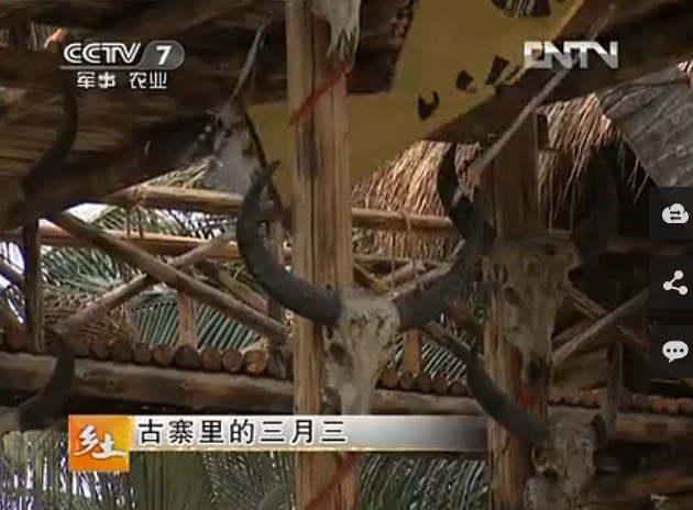 CCTV7《鄉土》古寨里的三月三