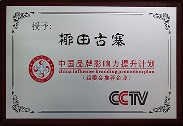 中國品牌影響力提升計劃組委會推薦企業.jpg